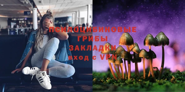 гидропоника Белокуриха