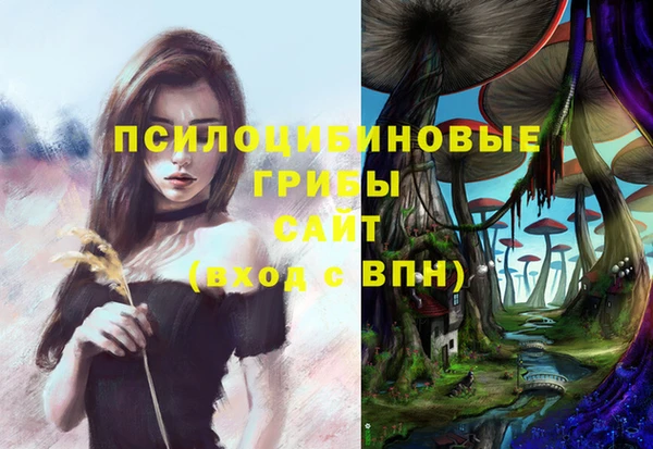 гидропоника Белокуриха
