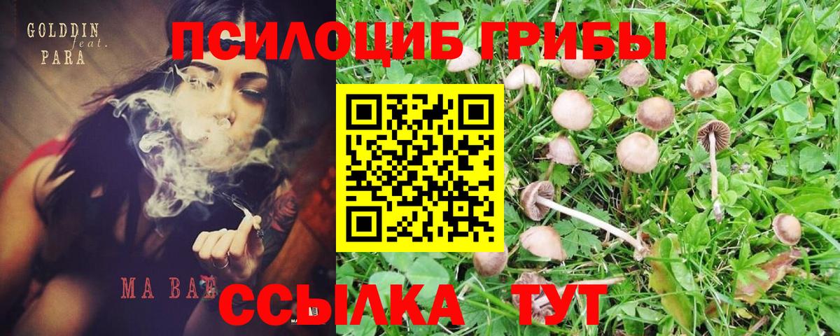 Псилоцибиновые грибы GOLDEN TEACHER Малоярославец