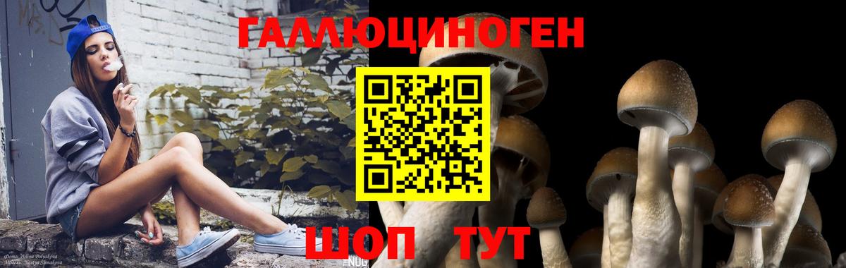 Малоярославец  Галлюциногенные грибы ЛСД  Вход с VPN 